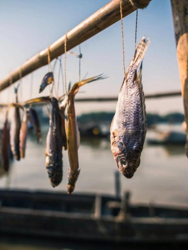 清远，太好吃了！来一场说走就走的旅行