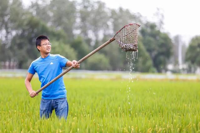 孙飞：鱼跃“农”门，“稻”出小康路上好风光