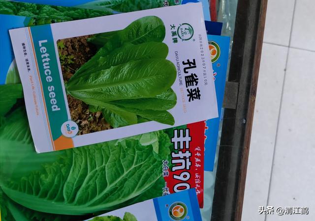 立秋后，可种植哪些蔬菜？推荐6类品种，看看你种过没