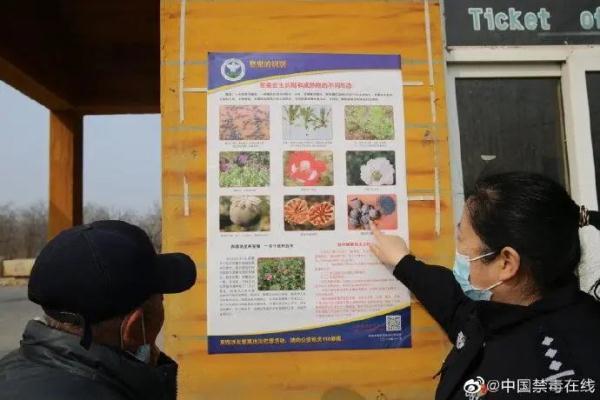 种植一棵也违法！春耕春播警惕毒品原植物