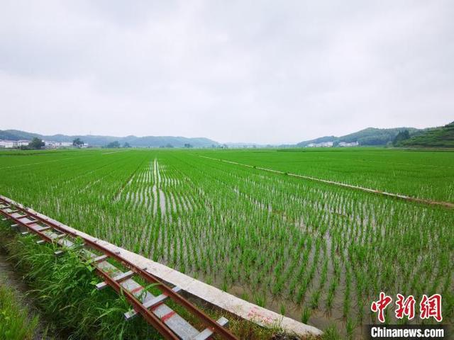 福建建宁：特色农业为革命老区增添新活力