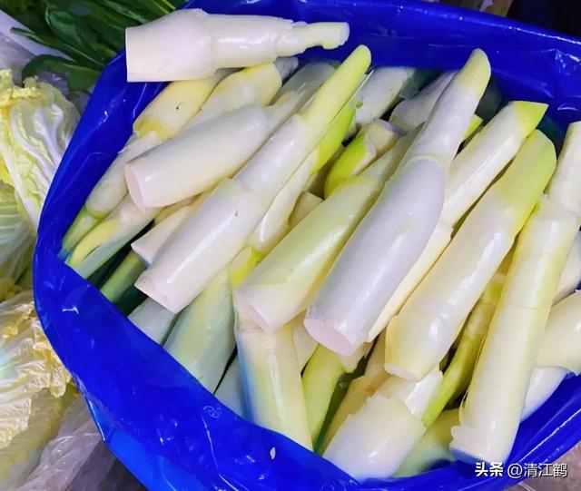 从“粮食处”下岗到“菜摊上”复工的茭白，有哪些种植类型与品种