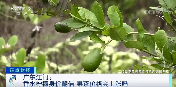 柠檬身价暴涨！供不应求！你爱喝的果茶，会涨价吗？