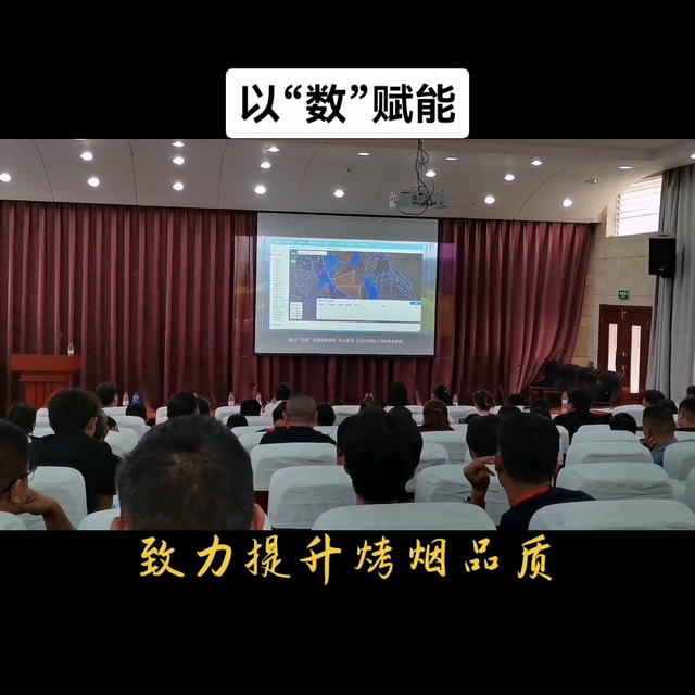 相信科学，助农增收#云南烤烟