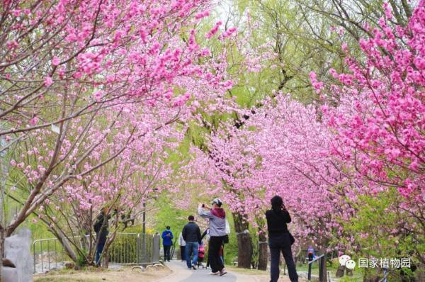 国家植物园正式揭牌，游览攻略、购票方式都在这里了