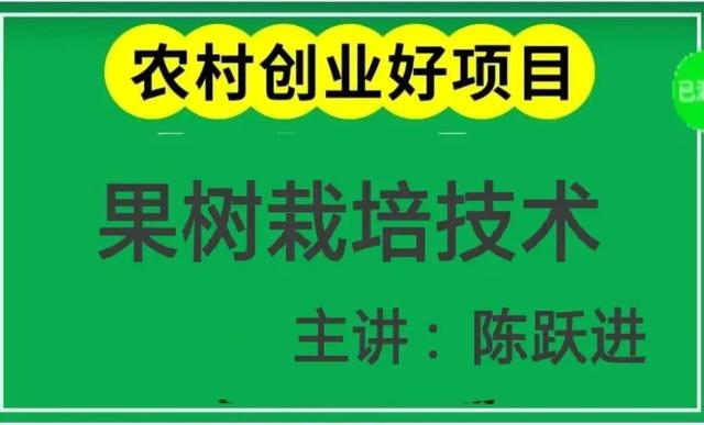 佛手柑栽培管理技术