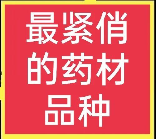 市场上比较紧俏的药材有哪些？种植药材，选对品种是关键