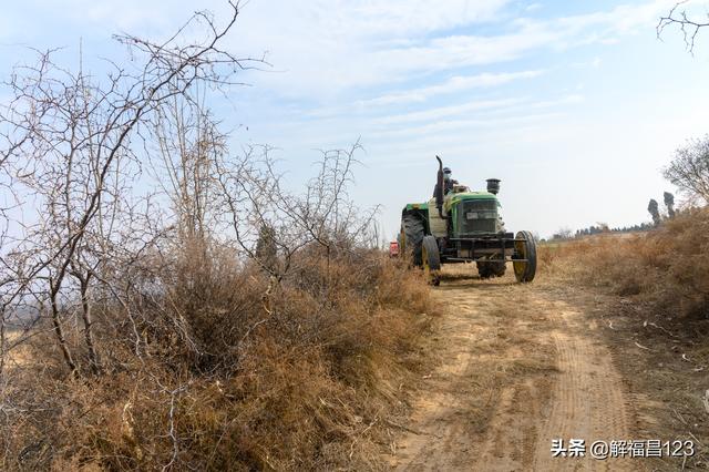 6亩中药材4年生一下子卖了60万元，看他是怎样种药材的