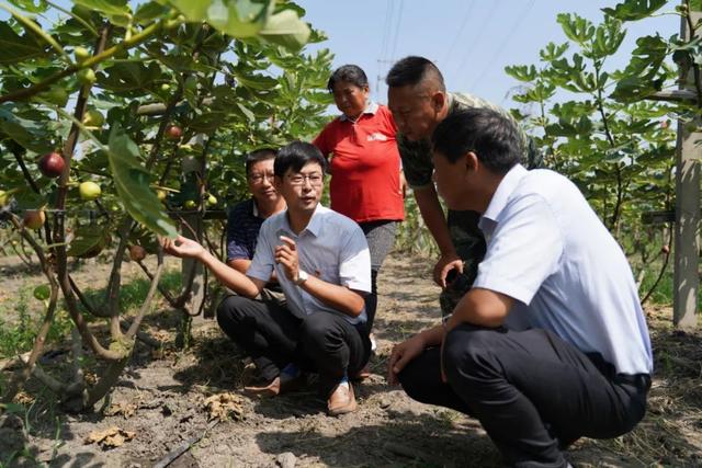 孙飞：鱼跃“农”门，“稻”出小康路上好风光