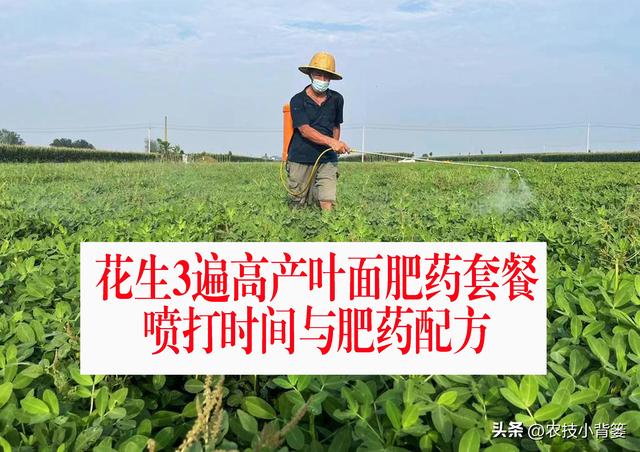 种花生打3遍肥药能高产能增收：什么时候打？用什么打？怎样打？