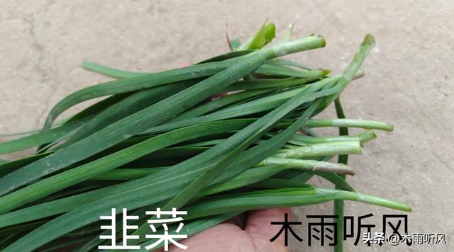 惊蛰适宜种植什么蔬菜？把握种植技巧，蔬菜长得好