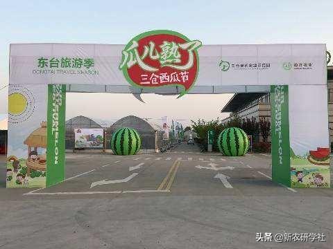 一年收5茬，一亩地多赚4000块，台州多茬西瓜栽培模式，你学不会