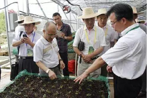 焦点｜内蒙古通辽 中药材种植“治穷根”