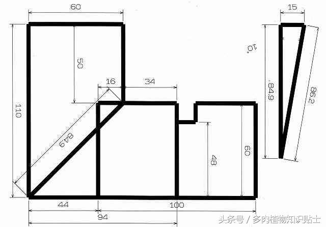 仙人球大棚建造指南，来看看多肉大神家的神奇花园