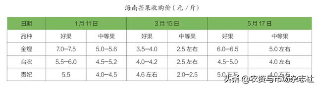 海南芒果：产业繁荣下的隐忧