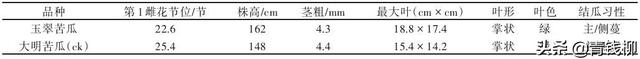 福建省龙岩市玉翠苦瓜秋延后种植表现及高产栽培技术