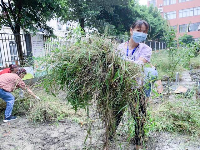 撷雅秋事忙，金小少年乐开荒丨金桥小学撷雅元种植探究课程