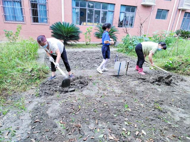 撷雅秋事忙，金小少年乐开荒丨金桥小学撷雅元种植探究课程