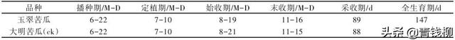 福建省龙岩市玉翠苦瓜秋延后种植表现及高产栽培技术