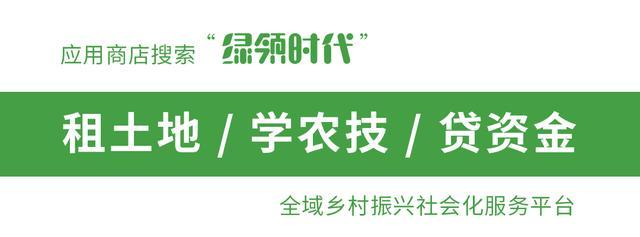 家庭农场可以申请哪些补贴？8个项目，每亩可补助5000元