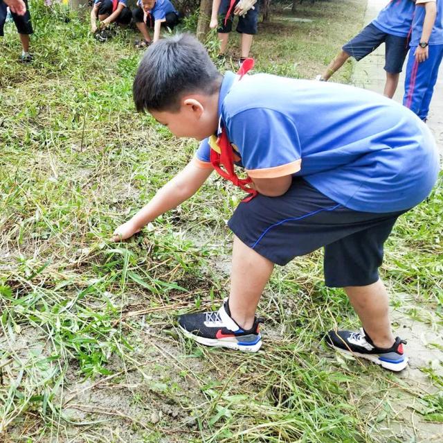 撷雅秋事忙，金小少年乐开荒丨金桥小学撷雅元种植探究课程