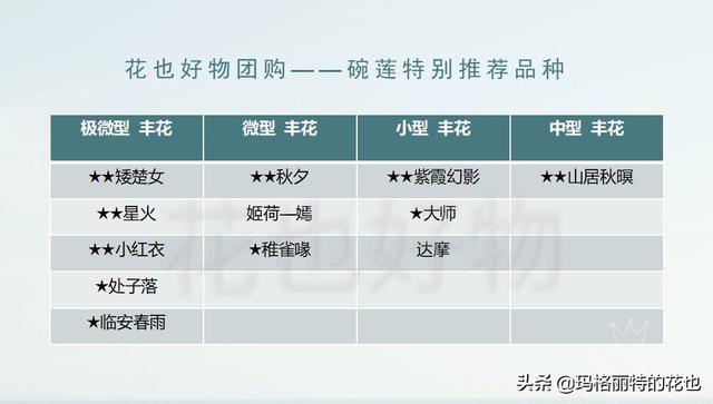 园丁：碗莲12月栽培计划及常见问题