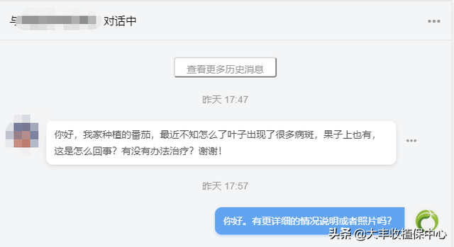 冬季将至，谨防番茄晚疫病！这5招教你怎么防治