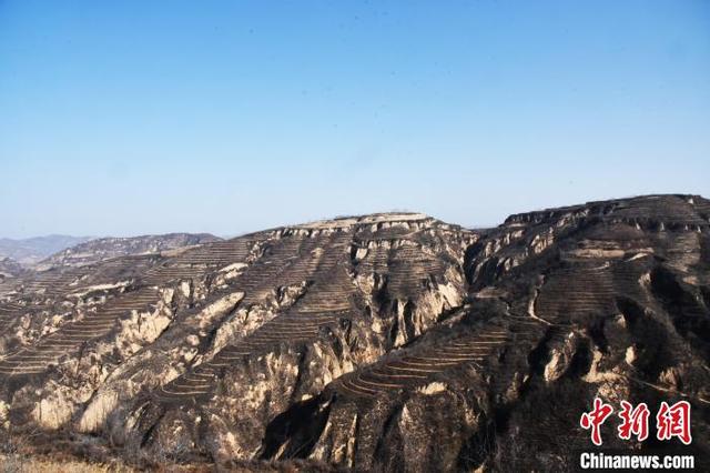 山西石楼：大山深处药材“香”