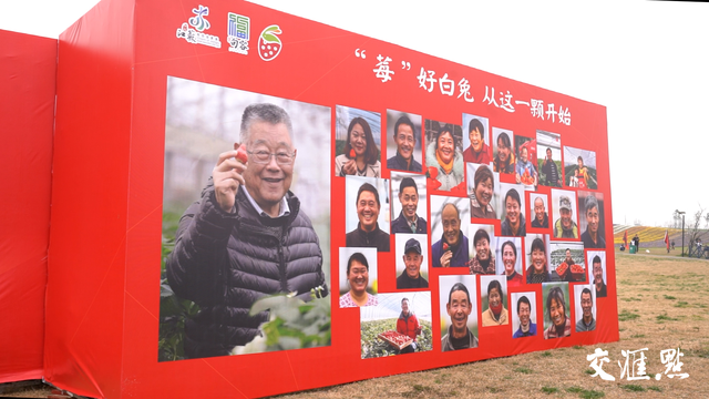 赵亚夫和他的农民朋友们｜20棵草莓苗，在这里长成千万元级富民产业