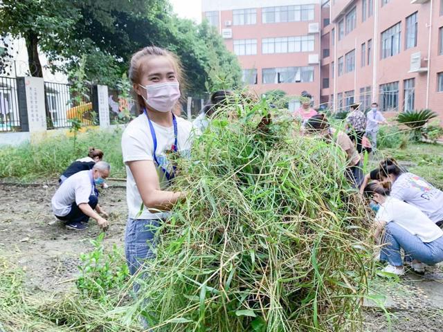 撷雅秋事忙，金小少年乐开荒丨金桥小学撷雅元种植探究课程