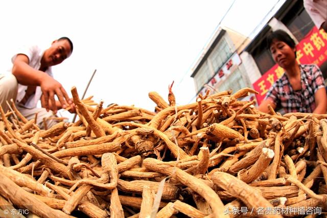 种植中药材，怎么找收购商？种了药材往哪里卖？