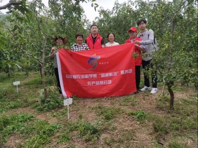 费县朱田镇：寨山脚下 桃花盛开