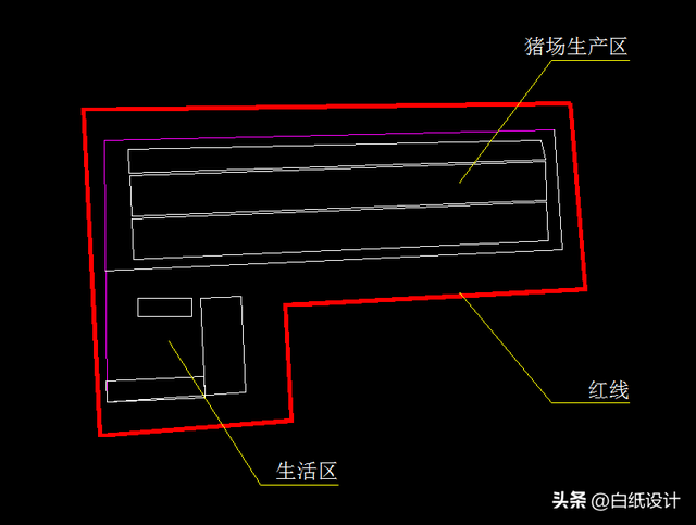 黑猪养殖场的规划