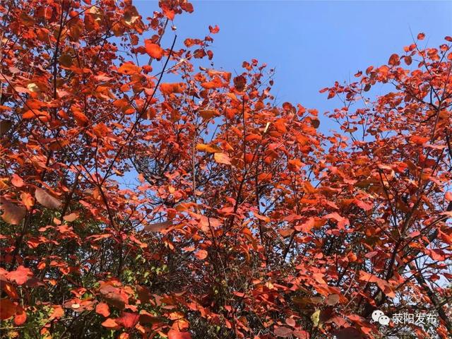 环翠峪：观漫山红叶 寻乡土宝物