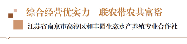 综合经营优实力 联农带农共富裕——江苏省南京市高淳区和丰园生态水产养殖专业合作社