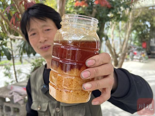 走进川江“第一村”⑥｜巴河水畔，蜜蜂“采”出好“钱景”