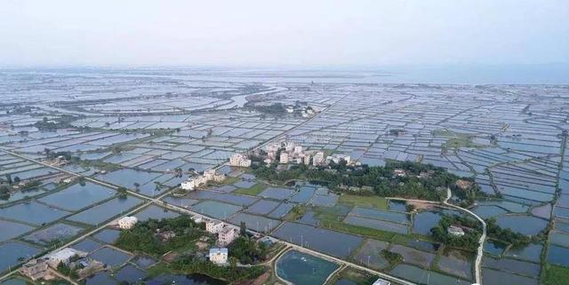 河蚬的生活习性及其在大水面的增养殖