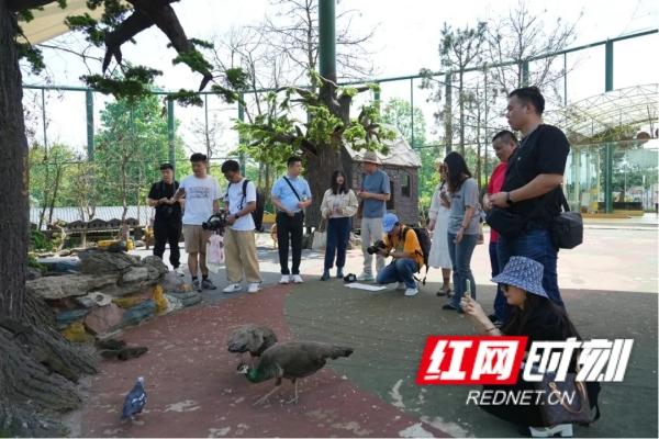 不用预约，星城向西＂光明村＂里可撒欢