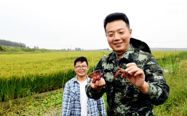 辽宁沈阳：推进精准脱贫 点燃致富希望