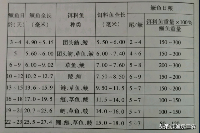 鳜鱼的苗种培育方法