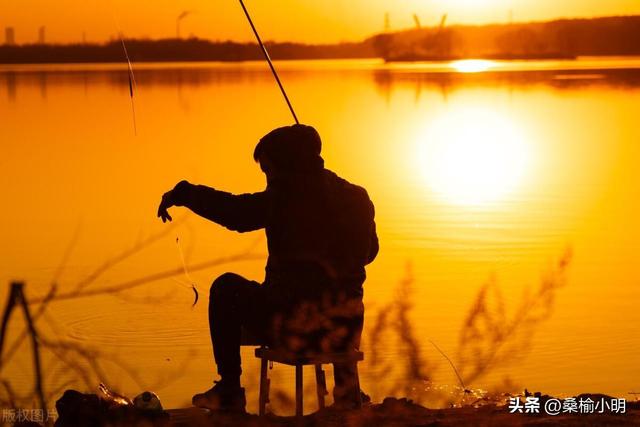 入坑成为钓鱼佬，我始终忘不了小时候的金竹鱼竿