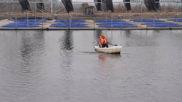 湖北发布水产养殖 应对低温雨雪冰冻天气防灾减灾技术措施