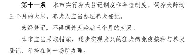 买来的宠物竟是“斗牛犬”！“禁养犬”在上海销售渠道广泛，办证还有套路？