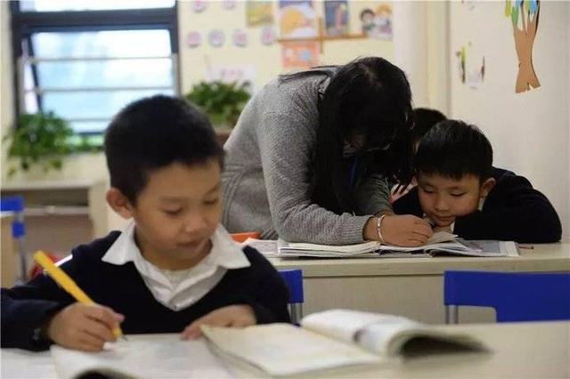 齐鲁早报｜山东省乡村振兴局组建；又一市启动小学生暑期托管