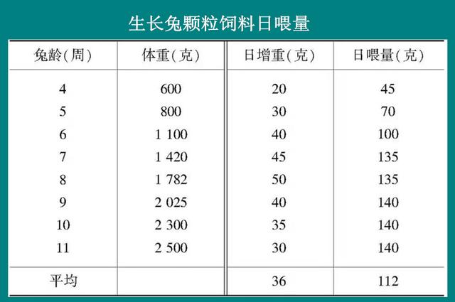 养兔技术｜饲养兔应该掌握的七个原则