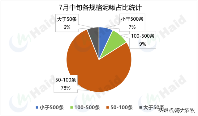 一天跌一块！2023年泥鳅养殖还有希望吗？