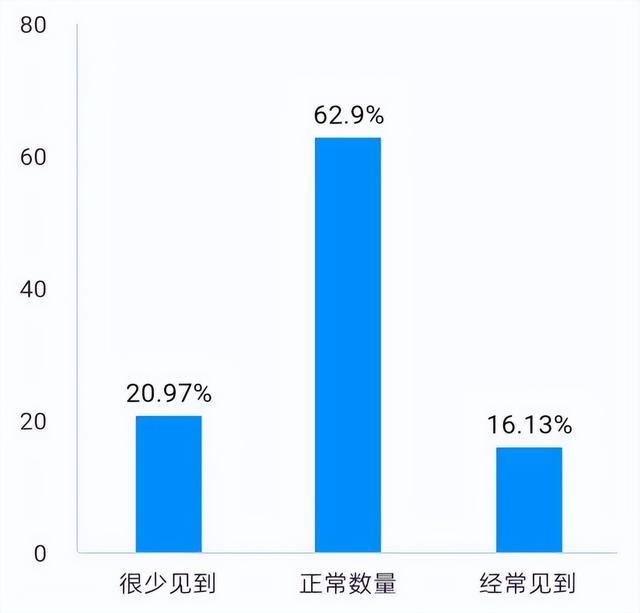 社区养狗问题