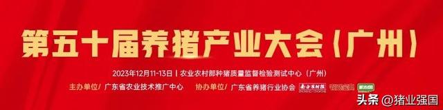 广东万头母猪场高达25家！这个种猪拍卖会为何引领风骚近三十年？