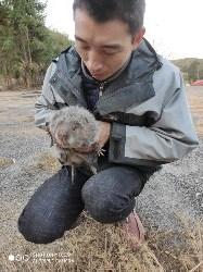 养殖竹鼠，风险不大，时间长