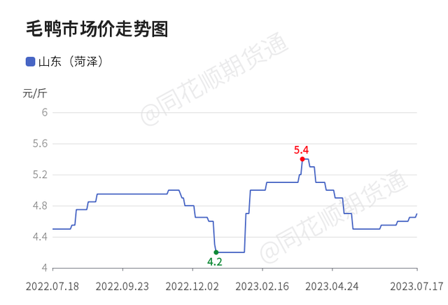 出栏量占据全国“半壁江山”，山东鸭业如何破除“成长的烦恼”